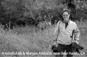 Morgan Atkinson on location